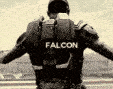 Falcon Solider